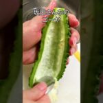 坂田さんちのゴーヤ #ゴーヤ #簡単レシピ #料理 #shorts #野菜 #japanesefood