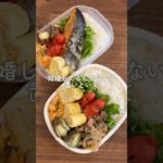 旦那弁当詰めながら相談🍱　#shorts#asmr#お弁当#お弁当詰め方#料理asmr#自炊#レシピ