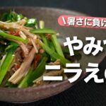 【えのきレシピ】暑さに負けない!食べてスタミナアップ◎レンジで簡単やみつきニラえのき【今日のあと一品】【副菜レシピ】