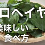 王様の野菜！モロヘイヤナムルの簡単レシピ