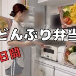 【弁当作り】平日毎日お弁当を作る主婦👩どんぶり弁当３日間🍱
