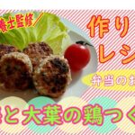 【管理栄養士監修】～作り置きレシピ～　★お弁当のおかず★