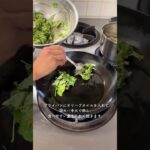 【レシピ】モロヘイヤのチーズおやき #簡単レシピ #野菜たっぷり #野菜料理 #料理 #おつまみ#モロヘイヤ#野菜レシピ