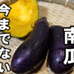 南瓜と茄子。今までにない作り置きおかずレシピ 簡単 副菜 おつまみ 炒め煮