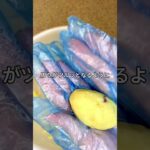 【子どもと作れる簡単スイートポテト】の作り方は、コメント欄見てねー！#簡単レシピ　#さつまいも　#スイートポテト　#簡単スイートポテト　#おやつ　#スイーツ　#手作りスイーツ　#子どもと作れる