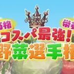 価格高騰に打ち勝つ!「コスパ最強野菜選手権」優勝の野菜は?ベスト3の野菜を使ったレシピも紹介【岡山】 (24/10/06 10:00)