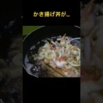 爆量!かき揚げ丼!ついでに鶏肉5枚のとり天 #かき揚げ丼 #とり天 #簡単レシピ