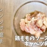 レンジで簡単お弁当のおかずと朝ごはん／鶏もも肉のソース煮とキャベツたまご焼き／朝食はレンチンホットケーキミックスで蒸しパン／節約レシピ