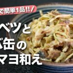 【キャベツレシピ】サバ缶とキャベツを和えるだけ！お手軽なサバの味噌煮缶でキャベツの味噌マヨ和え【今日のあと一品】【副菜レシピ】