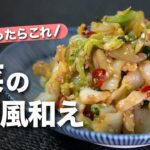 【白菜レシピ】余った白菜でパッと1品◎さっぱりなのにピリ辛でやみつき！白菜の中華風和え【今日のあと一品】【副菜レシピ】