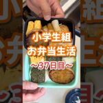 小学生組お弁当生活〜37日目〜 #お弁当 #大根レシピ #おにぎり #楽しいご飯作り #家族の幸せが僕の幸せ