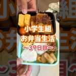 小学生組お弁当生活〜39日目〜 #お弁当 #大根レシピ #おにぎり #楽しいご飯作り #家族の幸せが僕の幸せ
