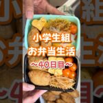 小学生組お弁当生活〜40日目〜 #お弁当 #おいなりさん #大根レシピ #楽しいご飯作り #家族の幸せが僕の幸せ