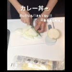 あるものでカレー丼　#簡単#レシピ#shorts#カレー　#冷蔵庫あるもの