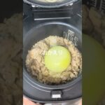 炊飯器でチーズ牛丼