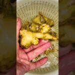 菊芋の甘辛焼　#菊芋レシピ　#健康食材　#血糖値を抑える　#副菜　#おつまみ　#空