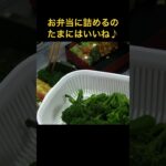 お弁当詰める-ありがちなお弁当だけどテラスで食べると美味しい♪ #お弁当 #テラス #簡単レシピ