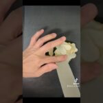 菊芋の酢漬け #菊芋レシピ #酢漬け #副菜 #健康食材 #すぐできる #空