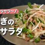 【玉ねぎレシピ】血液サラサラ健康副菜！生姜が効いて爽やかで美味しいツナと玉ねぎのサラダ【今日のあと一品】【副菜レシピ】