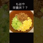 【節約なのに栄養満点な三色丼】ができちゃいました🥰#節約レシピ #節約料理 #節約飯 #料理 #料理vlog #簡単レシピ #おうちごはん #時短ごはん #cooking #満腹