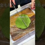 レンジで簡単!抹茶スコーン#産後ダイエット #簡単レシピ #簡単スイーツ #ヘルシースイーツ #太らないスイーツ #youtubeshorts #抹茶スコーン