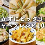 【キャベツレシピ10選】サラダや蒸し料理、炒め物など！主菜から副菜まで♪#キャベツ #おかず #レシピ