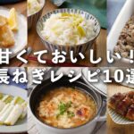 【長ねぎレシピ10選】長ねぎ1つでできるものも!メインおかずや副菜、おつまみに♪#長ねぎ #おかず #レシピ