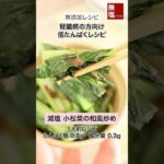 【低たんぱくレシピ】副菜 さっぱり 減塩 小松菜の和風炒め|腎臓病の方向け 管理栄養士監修 #低タンパクレシピ #低たんぱくレシピ #副菜 #減塩レシピ