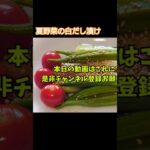 夏野菜の白だし漬け  #簡単レシピ #レシピ #料理 #漬物 #オクラ #料理動画