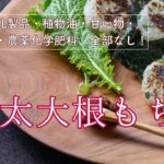 【 野菜の四毒抜きレシピ 】明太子と紫蘇の大根もち