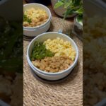 たんぱく質が摂れる【夫婦ダイエット弁当】【3色そぼろ丼】 #お弁当おかず #高タンパク質 #筋トレ #簡単レシピ #タンパク質 #ダイエット #お弁当 #そぼろ丼