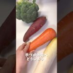 【9ヶ月〜】手づかみ野菜｜離乳食後期｜カミカミ期　#離乳食レシピ #赤ちゃんのいる生活