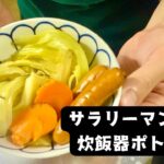 【Vlogレシピ】サラリーマンが作る　炊飯器ポトフ&鶏むね丼