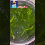 わかめ丼 #わかめ #レシピ動画 #料理 #簡単朝ごはん #cooking #簡単ごはん #自炊 #leledebea #レレデビー #家猫娘