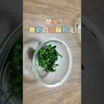 簡単春菊の胡麻和え／副菜レシピ／夕飯、お弁当のおかず