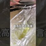 おいしさ主役級【ツナマヨ白菜】　　#白菜レシピ #ツナ缶 #副菜レシピ #レンチンレシピ