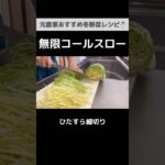 正月太り解消にも！無限コールスロー｜元農家の野菜レシピ