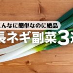 【長ネギ使い切り】青いとこもおいしく！簡単副菜レシピ3品