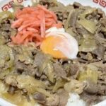 【4毒抜きレシピ】炊飯器でできる牛丼の作り方教えてやるよ