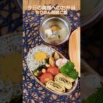 #ちりめんご飯#お弁当作り#主夫弁当#料理#お弁当#弁当#としはる#おうちごはん#奥様へのお弁当#shorts#お弁当レシピ#手作り弁当#お弁当おかず#お弁当日記#お弁当記録#ランチアイデア