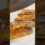 【韓国人が作るダイエットレシピ】野菜チーズトルティーヤ