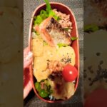 【お弁当作り】社会人ダイエット弁当#お弁当 #お弁当作り #弁当 #自炊 #ダイエット #ダイエットレシピ #時短レシピ #時短 #社会人 #社会人vlog #料理 #cooking #lunch