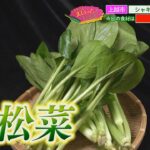 「1年中食べられる万能野菜!小松菜が絶品レシピに!」えいっとレシピ “くらしに笑顔を、食卓に新潟の恵みを” #72 <【公式】スマイルスタジアムNST>