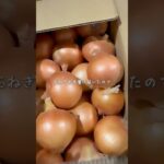 玉ねぎ大量消費🍳簡単レシピ3品