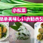 簡単副菜　小松菜レシピ5選