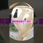 【超簡単!】5分でできる激うま麺料理教えちゃいます