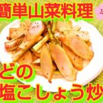 ★レシピ動画★おつまみやお弁当にも💕シンプルで簡単♪春の味覚の山菜🌸うどの塩こしょう炒め★【hirokoh(ひろこぉ)のおだいどこ】