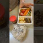 チョレギサラダ、麻婆茄子、卵焼きに梅カツオおにぎりのお弁当#ol弁当 #簡単レシピ #弁当箱 #会社員ルーティーン