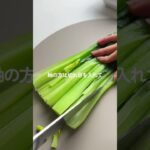 ごはんが進む副菜。 #簡単レシピ #胃袋泥棒レシピ