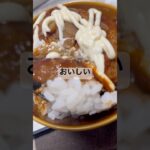 【社畜ご飯】ハンバーグ丼　#社畜 #社会人 #簡単レシピ #簡単 #簡単料理 #節約レシピ #節約 #節約料理 #時短 #時短料理 #時短レシピ #自炊 #料理 #業務スーパー #料理動画 #手抜き